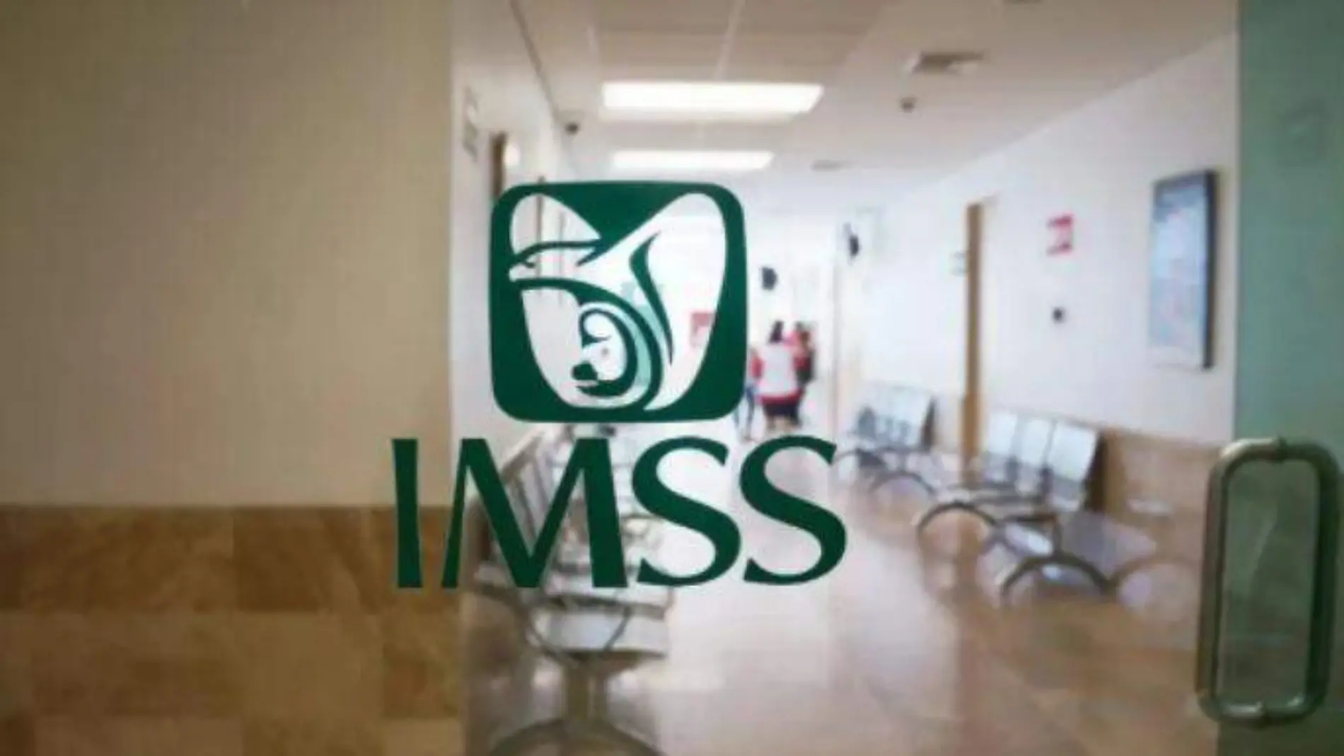 seguro de salud imss ok